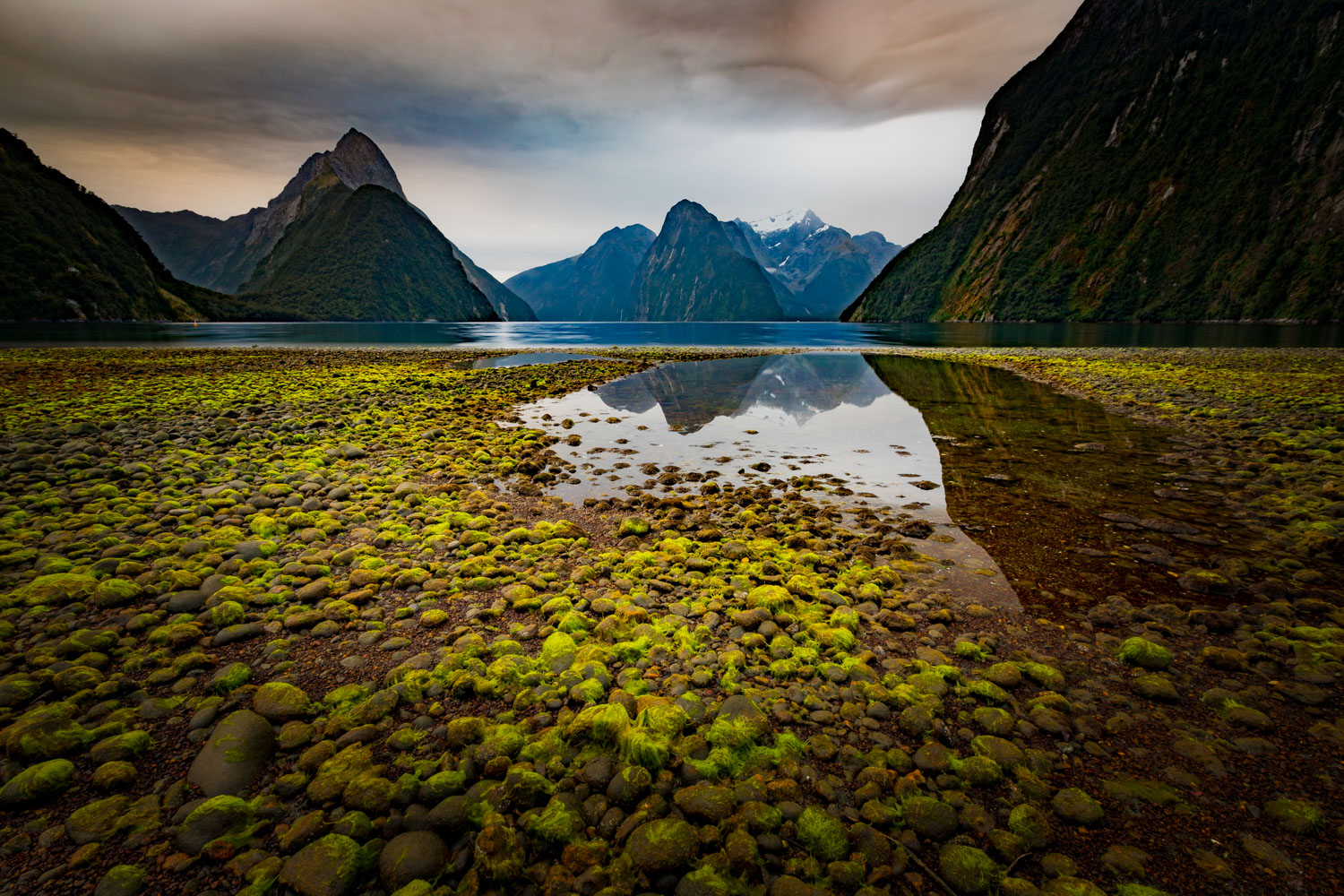  Milford Sound 